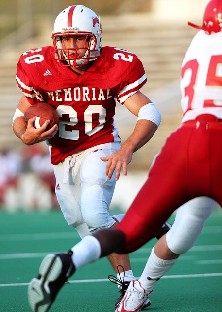 不仅展现了 不仅展现了